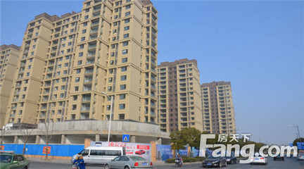 萬家團(tuán)圓 安家金鷹