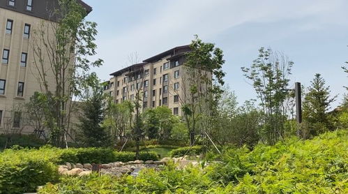 5字頭 即買即下證 長春低密置業(yè)的首選,從這個(gè)實(shí)景洋房開始